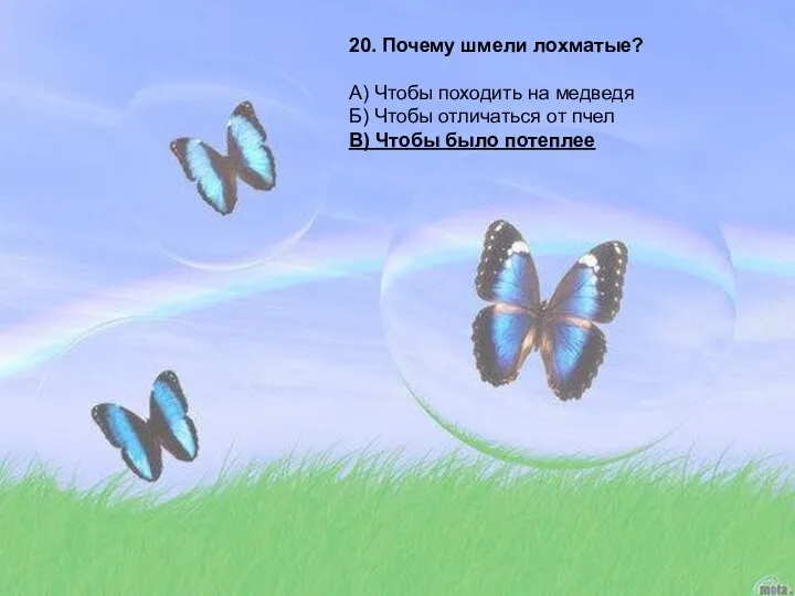 20. Почему шмели лохматые? А) Чтобы походить на медведя Б) Чтобы