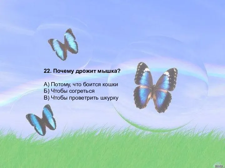 22. Почему дрожит мышка? А) Потому, что боится кошки Б) Чтобы согреться В) Чтобы проветрить шкурку