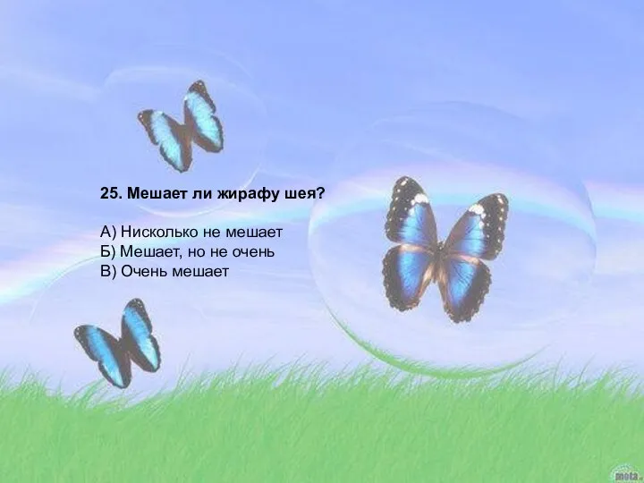 25. Мешает ли жирафу шея? А) Нисколько не мешает Б) Мешает,