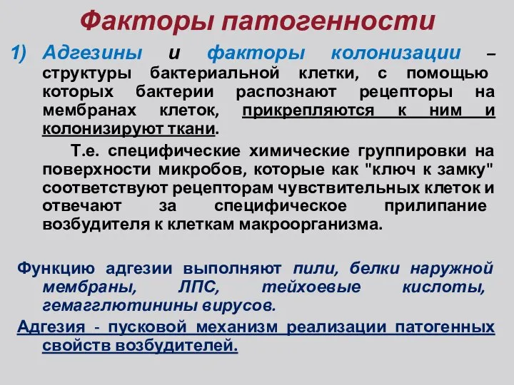 Факторы патогенности Адгезины и факторы колонизации – структуры бактериальной клетки, с