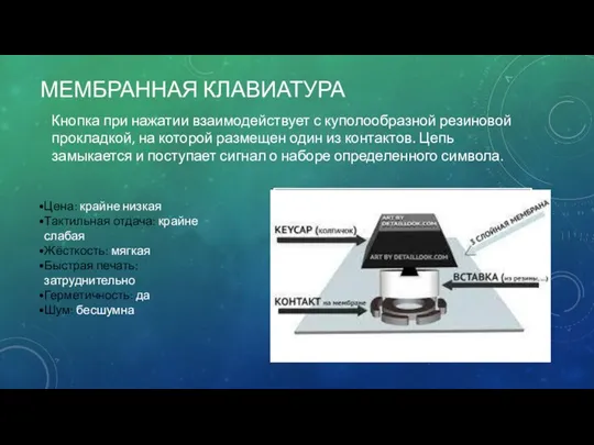 МЕМБРАННАЯ КЛАВИАТУРА Кнопка при нажатии взаимодействует с куполообразной резиновой прокладкой, на