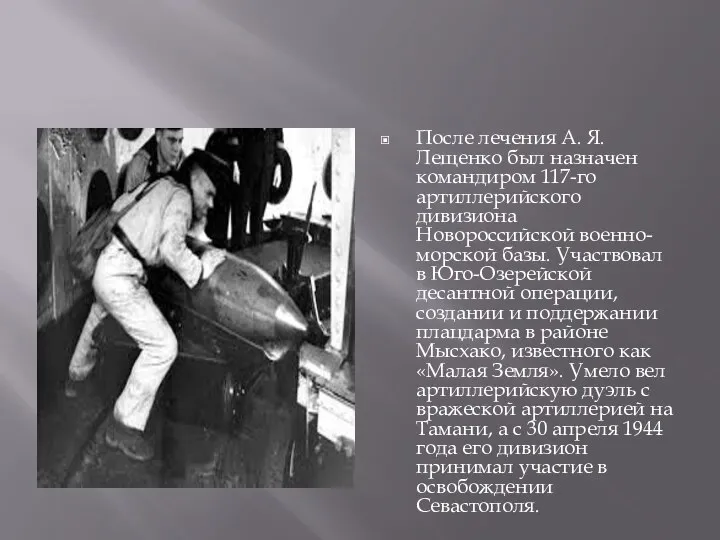 После лечения А. Я. Лещенко был назначен командиром 117-го артиллерийского дивизиона