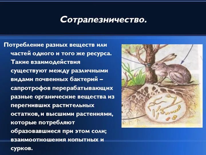 Сотрапезничество. Потребление разных веществ или частей одного и того же ресурса.