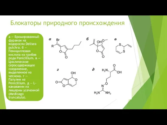 Блокаторы природного происхождения