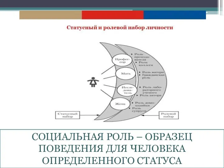 СОЦИАЛЬНАЯ РОЛЬ – ОБРАЗЕЦ ПОВЕДЕНИЯ ДЛЯ ЧЕЛОВЕКА ОПРЕДЕЛЕННОГО СТАТУСА