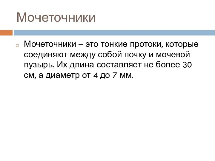 Мочеточники Мочеточники – это тонкие протоки, которые соединяют между собой почку