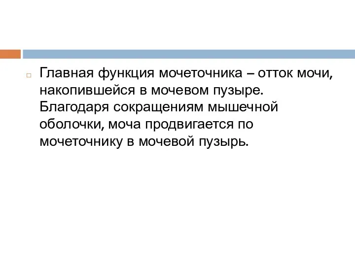 Главная функция мочеточника – отток мочи, накопившейся в мочевом пузыре. Благодаря