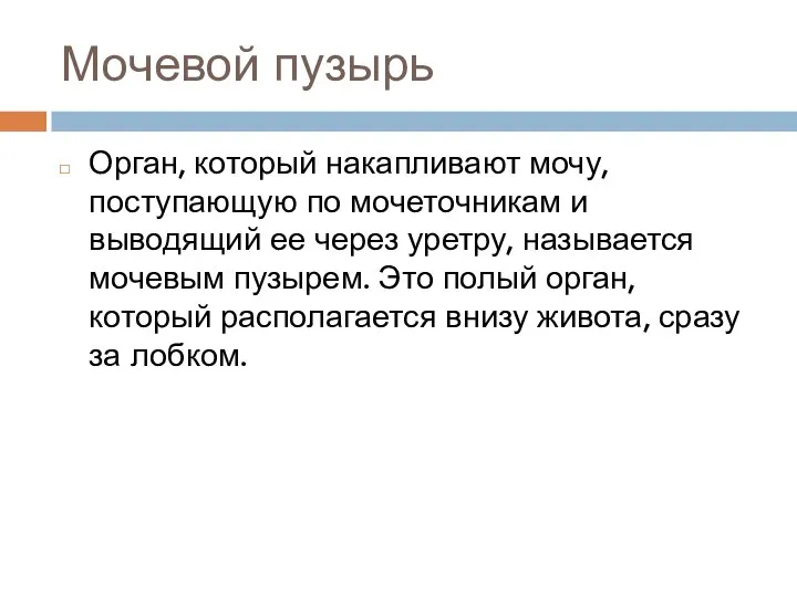 Мочевой пузырь Орган, который накапливают мочу, поступающую по мочеточникам и выводящий