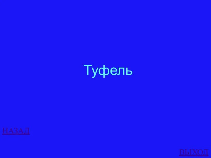 НАЗАД ВЫХОД Туфель