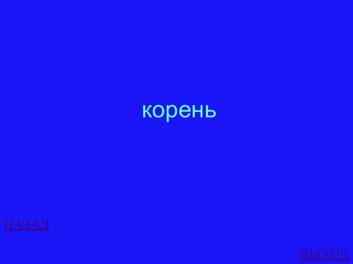 НАЗАД ВЫХОД корень