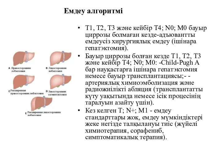 Емдеу алгоритмі Т1, Т2, Т3 және кейбір Т4; N0; М0 бауыр