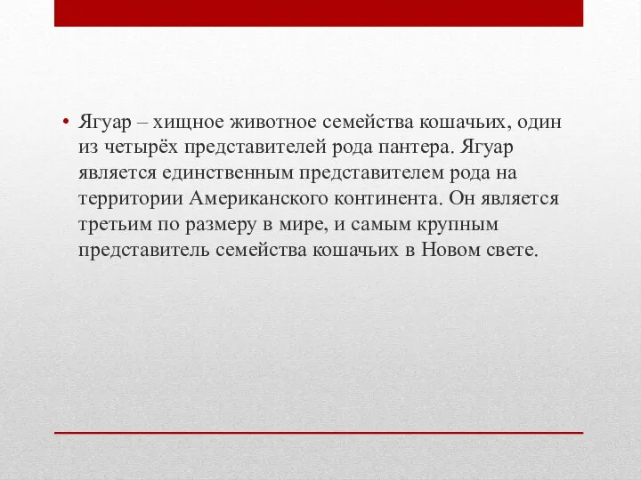 Ягуар – хищное животное семейства кошачьих, один из четырёх представителей рода