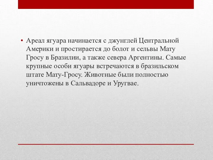 Ареал ягуара начинается с джунглей Центральной Америки и простирается до болот