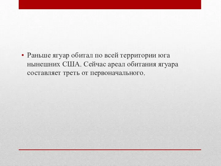 Раньше ягуар обитал по всей территории юга нынешних США. Сейчас ареал