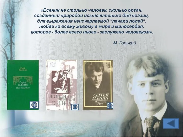 «Есенин не столько человек, сколько орган, созданный природой исключительно для поэзии,