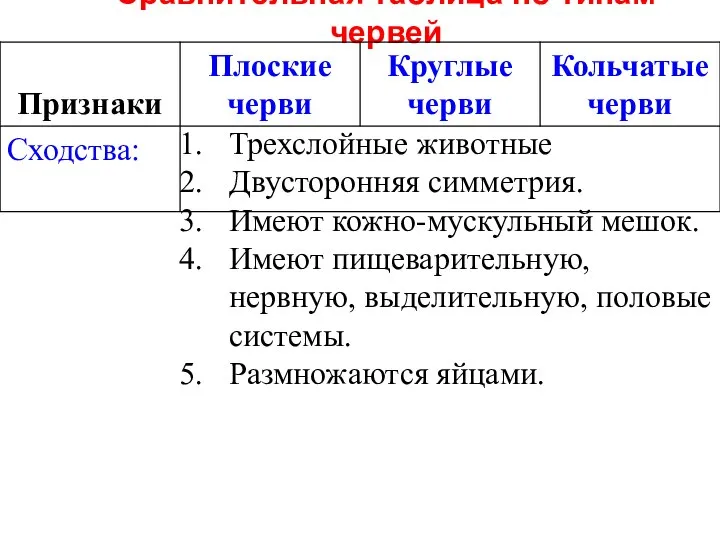 Сравнительная таблица по типам червей Трехслойные животные Двусторонняя симметрия. Имеют кожно-мускульный