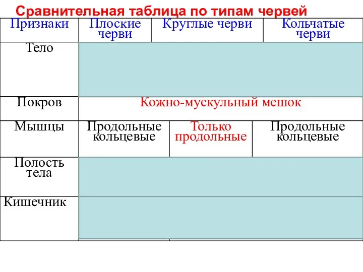 Сравнительная таблица по типам червей