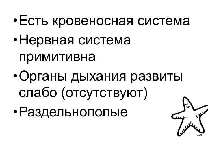 Есть кровеносная система Нервная система примитивна Органы дыхания развиты слабо (отсутствуют) Раздельнополые