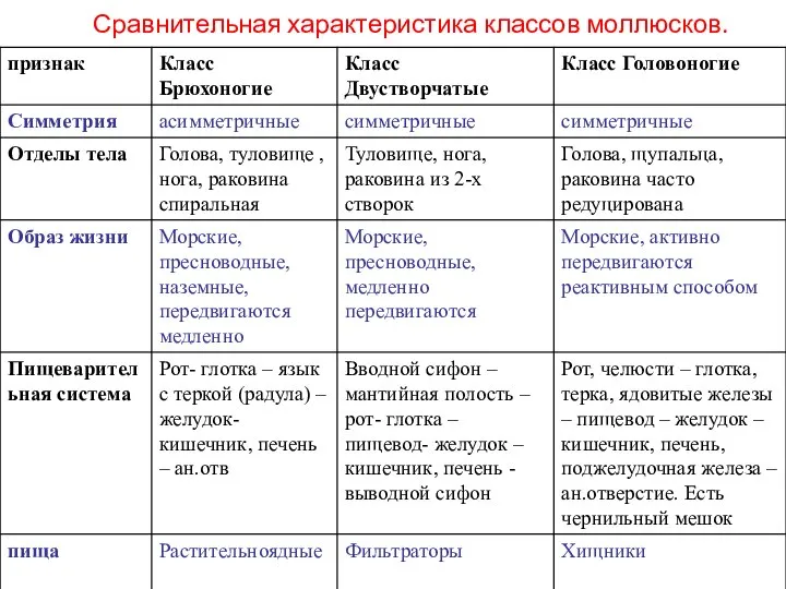 Сравнительная характеристика классов моллюсков.