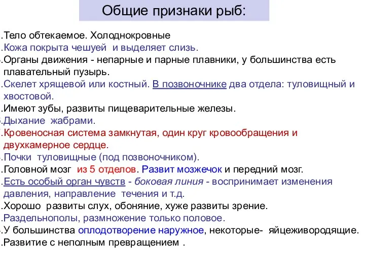 Тело обтекаемое. Холоднокровные Кожа покрыта чешуей и выделяет слизь. Органы движения