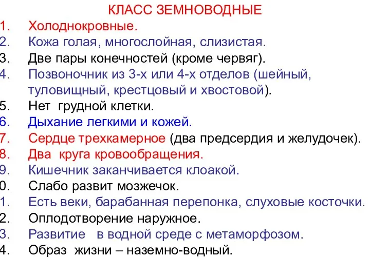 КЛАСС ЗЕМНОВОДНЫЕ Холоднокровные. Кожа голая, многослойная, слизистая. Две пары конечностей (кроме