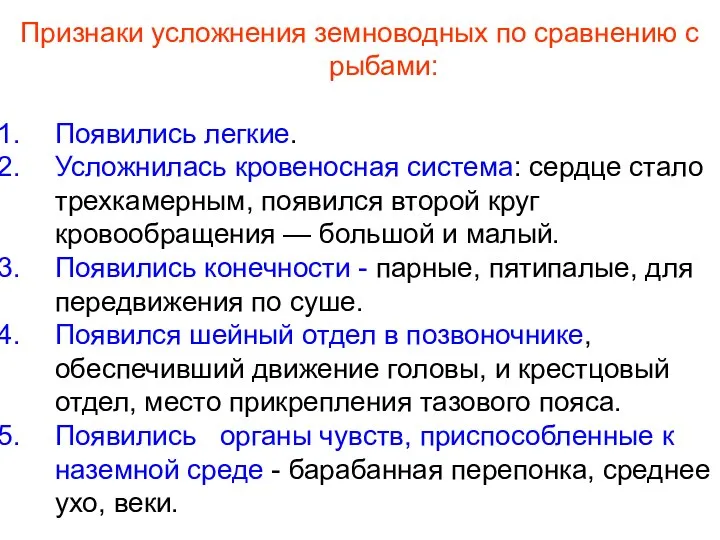 Признаки усложнения земноводных по сравнению с рыбами: Появились легкие. Усложнилась кровеносная