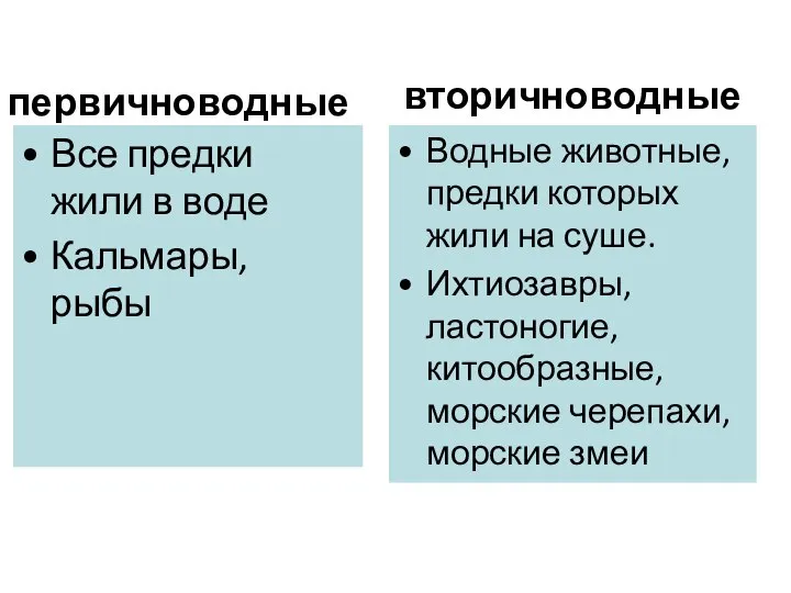 первичноводные Все предки жили в воде Кальмары, рыбы вторичноводные Водные животные,