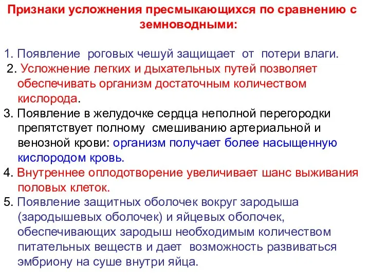 Признаки усложнения пресмыкающихся по сравнению с земноводными: 1. Появление роговых чешуй