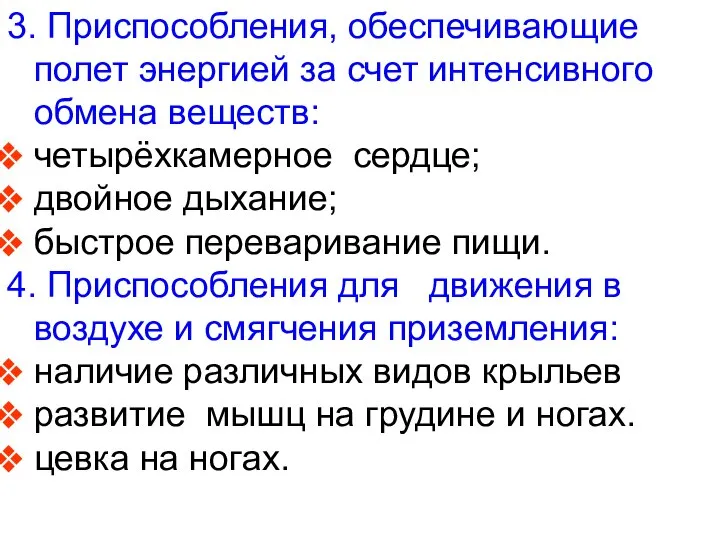 3. Приспособления, обеспечивающие полет энергией за счет интенсивного обмена веществ: четырёхкамерное