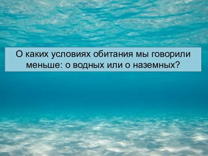 О каких условиях обитания мы говорили меньше: о водных или о наземных?