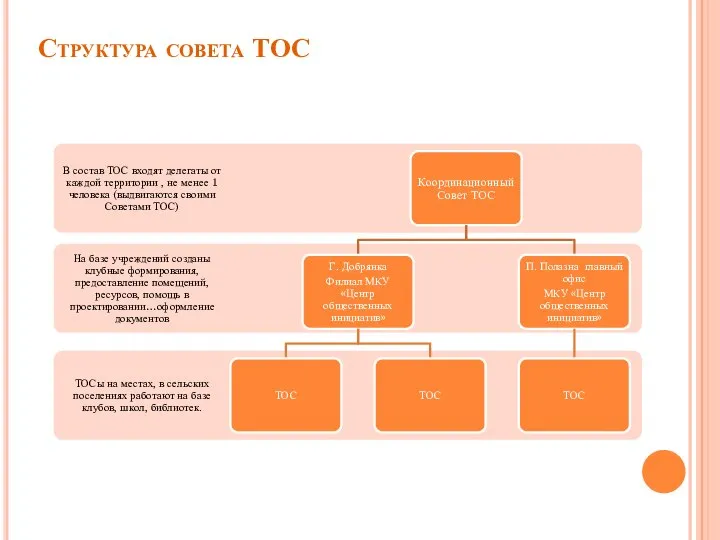 Структура совета ТОС