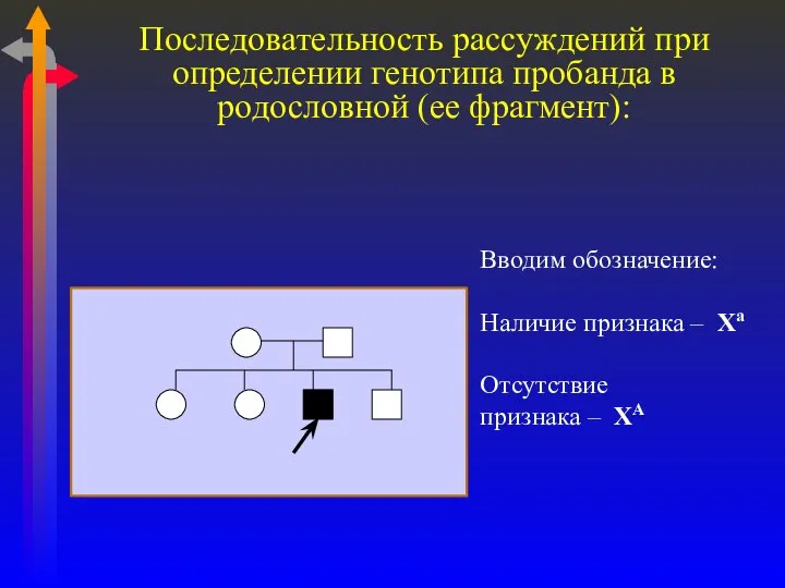 Последовательность рассуждений при определении генотипа пробанда в родословной (ее фрагмент): Вводим