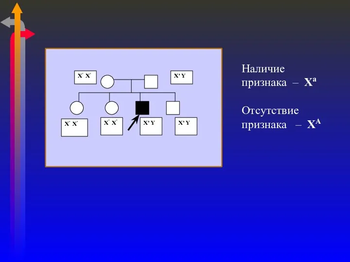 Наличие признака – Ха Отсутствие признака – ХА