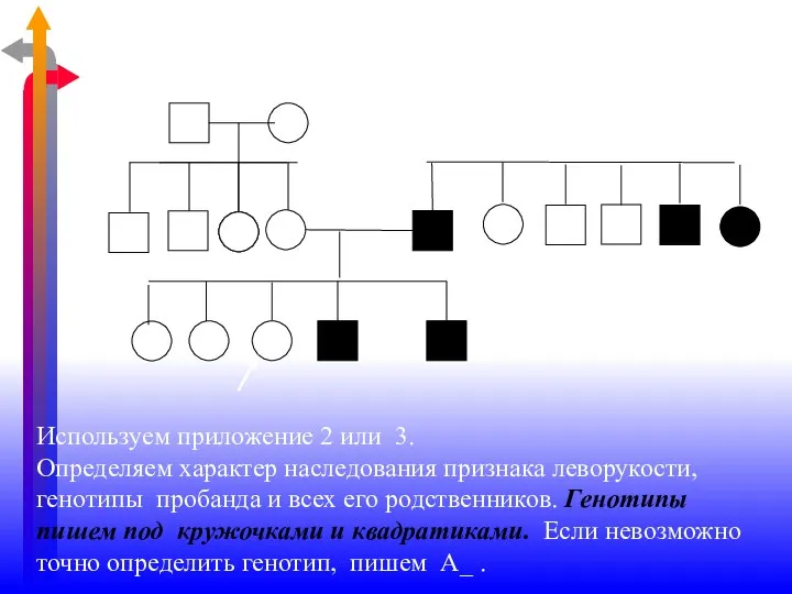 Используем приложение 2 или 3. Определяем характер наследования признака леворукости, генотипы