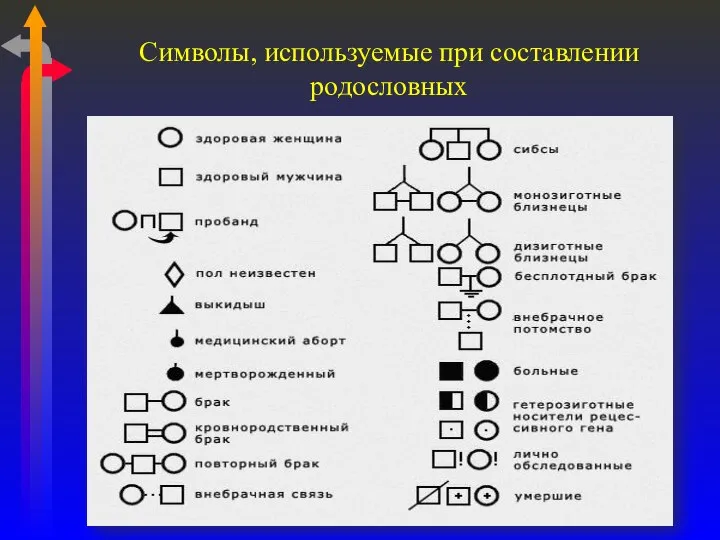 Символы, используемые при составлении родословных