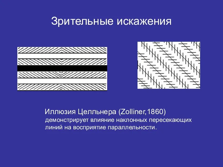 Зрительные искажения Иллюзия Целльнера (Zolliner,1860) демонстрирует влияние наклонных пересекающих линий на восприятие параллельности.