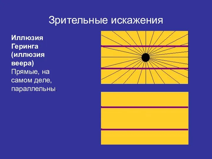 Зрительные искажения Иллюзия Геринга (иллюзия веера) Прямые, на самом деле, параллельны.