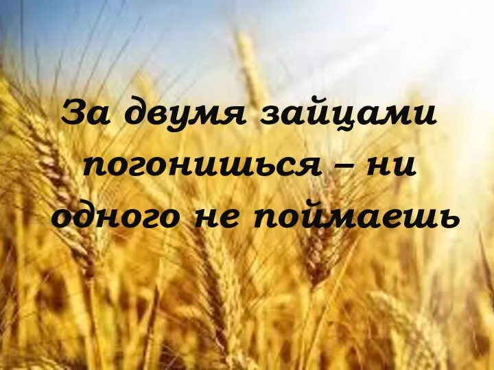 За двумя зайцами погонишься – ни одного не поймаешь