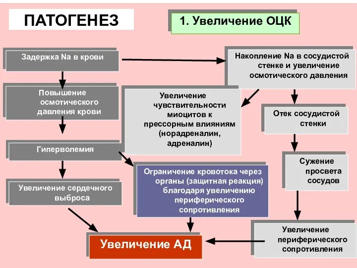 ПАТОГЕНЕЗ Задержка Na в крови Повышение осмотического давления крови Гиперволемия Увеличение