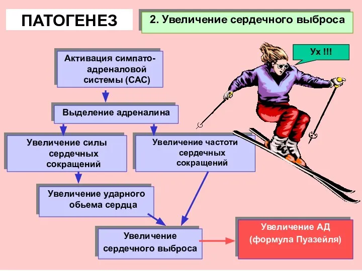 2. Увеличение сердечного выброса ПАТОГЕНЕЗ Активация симпато-адреналовой системы (САС) Выделение адреналина