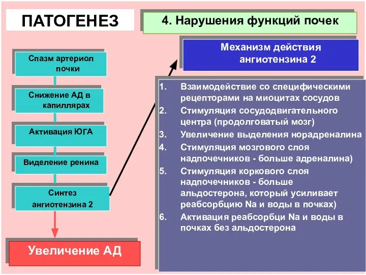 4. Нарушения функций почек ПАТОГЕНЕЗ Спазм артериол почки Увеличение АД Снижение