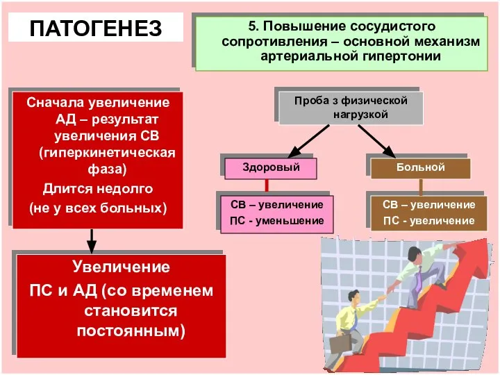 5. Повышение сосудистого сопротивления – основной механизм артериальной гипертонии ПАТОГЕНЕЗ Сначала