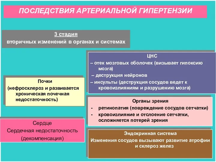 3 стадия вторичных изменений в органах и системах Почки (нефросклероз и