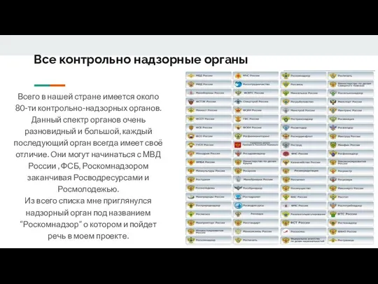 Все контрольно надзорные органы Всего в нашей стране имеется около 80-ти