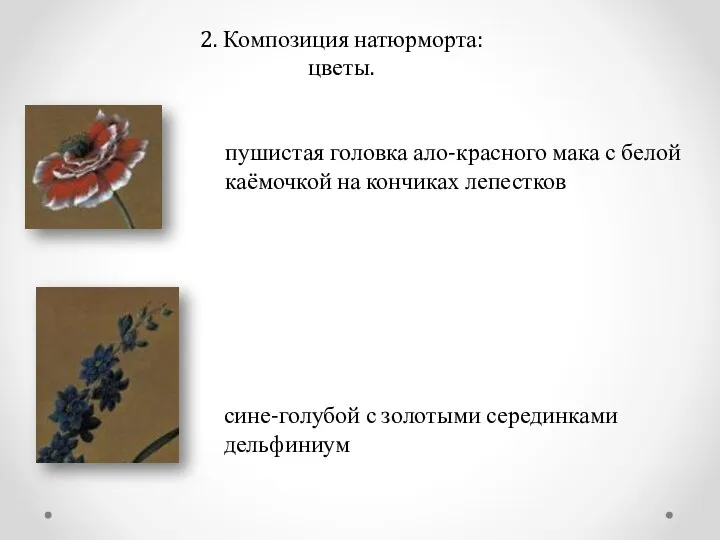 2. Композиция натюрморта: цветы. пушистая головка ало-красного мака с белой каёмочкой