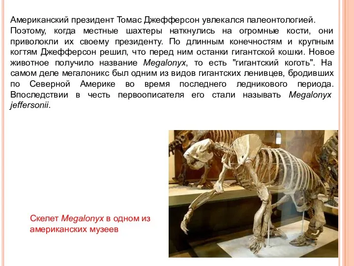 Американский президент Томас Джефферсон увлекался палеонтологией. Поэтому, когда местные шахтеры наткнулись