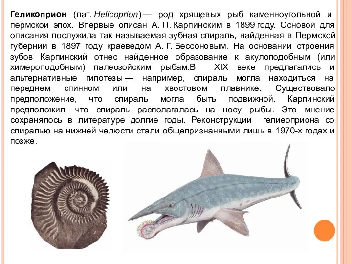 Геликоприон (лат. Helicoprion) — род хрящевых рыб каменноугольной и пермской эпох.