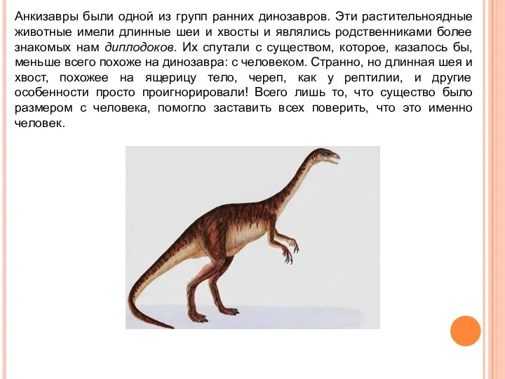 Анкизавры были одной из групп ранних динозавров. Эти растительноядные животные имели