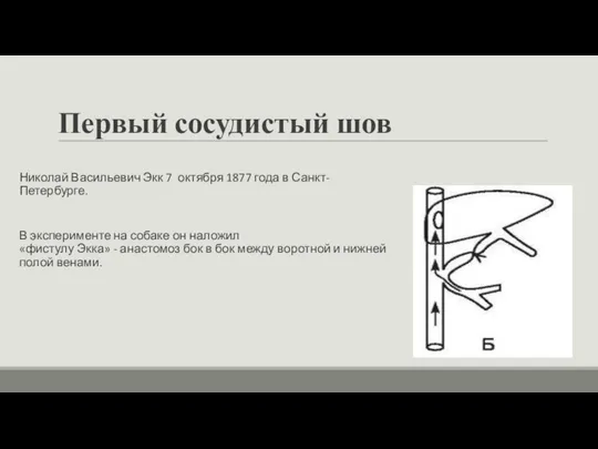 Первый сосудистый шов Николай Васильевич Экк 7 октября 1877 года в