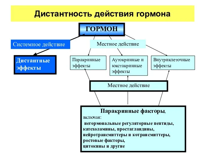 Дистантность действия гормона ГОРМОН Дистантные эффекты Паракринные эффекты Аутокринные и юкстакринные